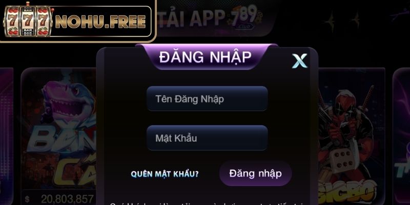 Quy trình tham gia giải trí